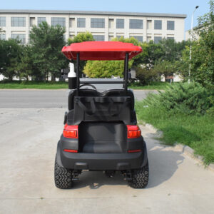 2 seater golf cart Z2 red