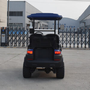 2 seater golf cart Z2 blue