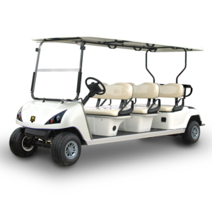 6 Seater Golf Cart DG-C6