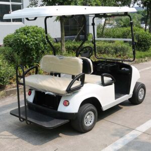 4 Seater Golf Cart DG-C2+2