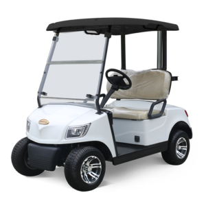 2 Seater Golf Cart DG-M2