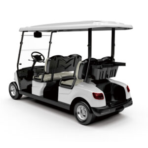 4 Seater Golf Cart DG-M4