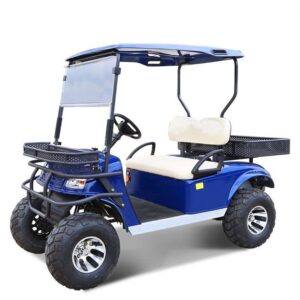 Lifted Golf Cart DH-C2