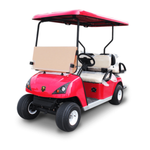 4 Seater Golf Cart DG-C2+2