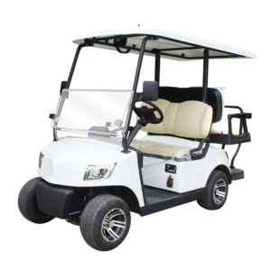 4 Seater Golf Cart DG-M2+2