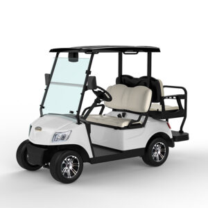 4 Seater Golf Cart DG-M2+2