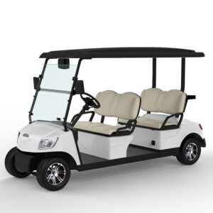 4 Seater Golf Cart DG-M4