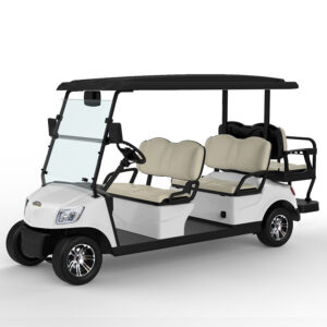 6 Seater Golf Cart DG-M4+ 2