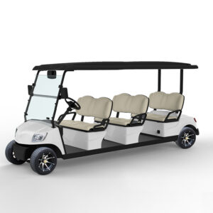 6 Seater Golf Cart DG-M6