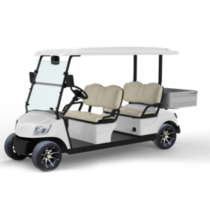 4 Seater Golf Cart DG-M4S
