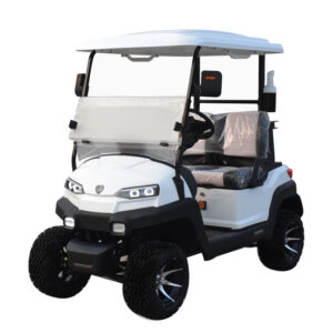 2 seater golf cart Z2 white