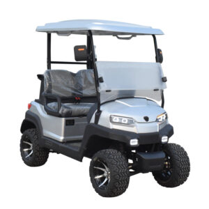 2 seater golf cart Z2 silvery